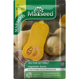 【MARSEED火星家】Waltham Butternut沃尔瑟姆小胡桃南瓜种子籽苗