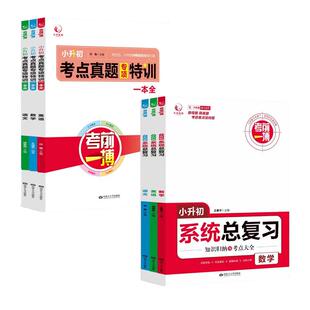 备考2024小升初系统总复习考点真题专项特训一本全语文数学英语小学生六年级下学期升初中总复习知识归纳与考点大全考前一搏