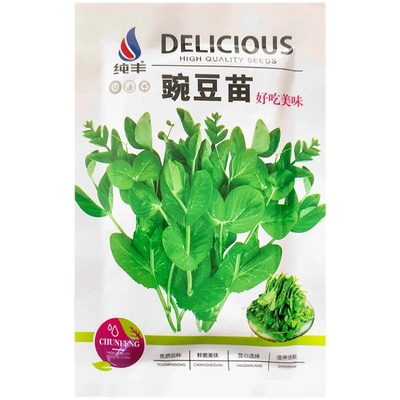四川豌豆尖种子无须豌豆苗
