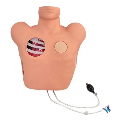 蓝蝶胸腔引流穿刺模型教学教具