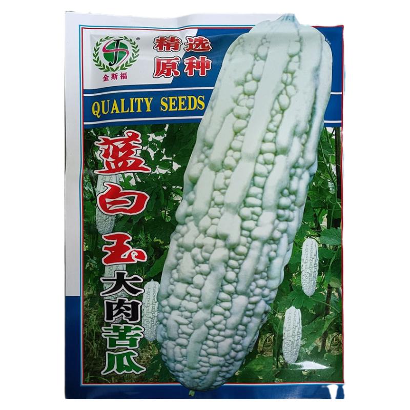 蓝白玉大肉苦长白苦瓜种子籽高产