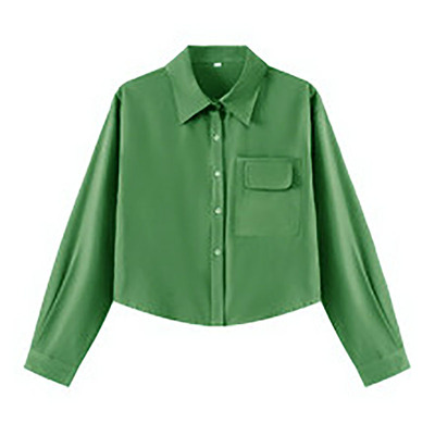 长袖宽松型翻领时尚短款洋气衬衫