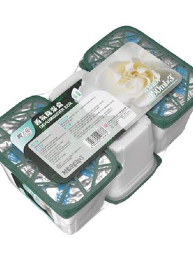 樱之花白茶雨雾除湿盒230g*3盒