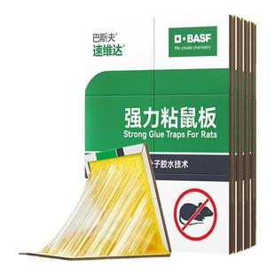 巴斯夫5张装老鼠贴强力胶粘鼠板正品家用粘大老鼠一窝引诱捕灭鼠