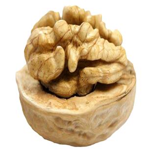 湖北恩施巴东特产小神农架高山老树野生核桃山核桃干果坚果零食