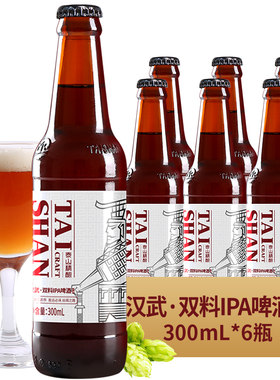 IPA整箱6瓶精酿啤酒新品