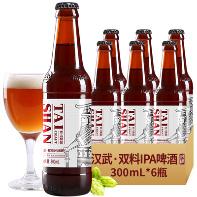 IPA整箱6瓶精酿啤酒新品