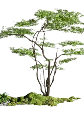 【家装博主推荐】仿真枫树景观