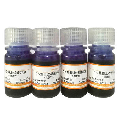 5×RNA上样缓冲液(非变性)  Loading Buffer