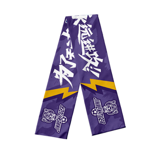 2026赛季天津津门虎队服泰达足球迷围巾围脖男女加油助威应援披肩