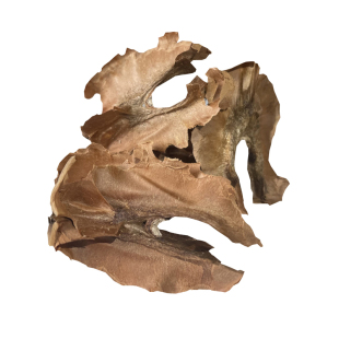 陕西秦岭核桃分心木正宗野生山核桃分心木核桃皮芯隔夹心木睡眠茶