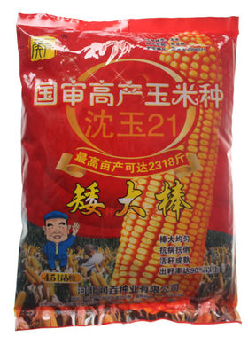 大棒杂交玉米种子国审