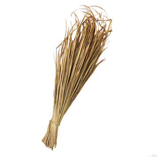 大深山茅针丝茅草茅发货黄茅叶茅草白茅叶白茅草茅草叶编制织雨棚