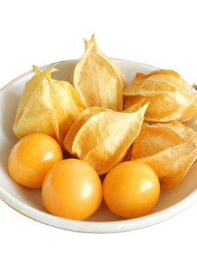 东北姑娘果新鲜灯笼果当季孕妇水果现摘东北特产黄菇娘果姑鸟大果