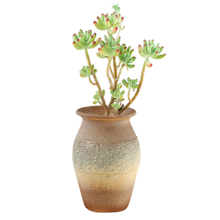 多肉小老桩花盆陶瓷包邮创意粗陶多肉植物花盆瑕疵残次品特价清仓