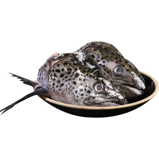 冰鲜三文鱼头超大挪威进口冷冻三文鱼头新鲜煲汤剁椒三文鱼鱼鳍肉