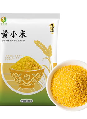 正宗山西黄小米25年新米米油稠厚