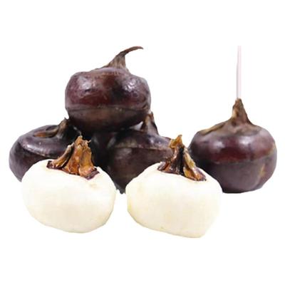 【现挖现发】新鲜马蹄荸荠5斤