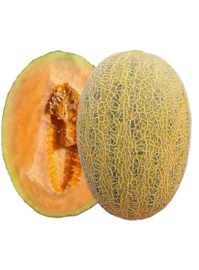 江淮园艺黄皮花斑系列哈密瓜种子