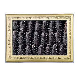 大连淡干海参正品官方旗舰店十八倍高泡发海参干货高刺辽参礼盒装