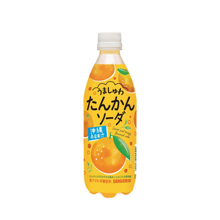 日本进口三佳利Sangaria饮料美味橘橙果味苏打碳酸饮料500ml