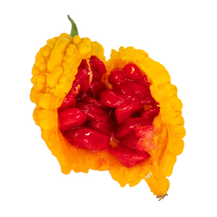 水果小癞瓜种子金铃子赖葡萄种子可生食味甜瓜果盆栽春季夏季蔬菜