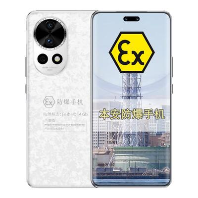 Nova12Pro智能手机定制版