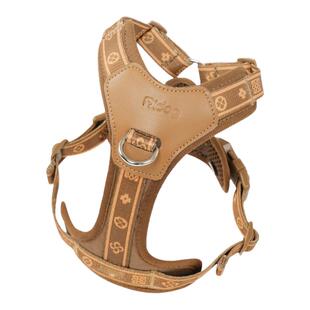 狗狗胸背中小型犬比熊泰迪宠物牵引绳背心式胸背带防挣脱遛狗专用