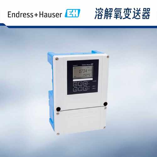 议价EH恩德斯豪斯 溶氧变送器 COM253 模拟式  基本型  220VAC