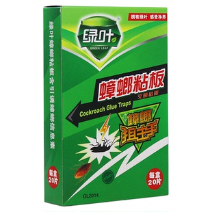 绿叶蟑螂粘板含引诱蟑螂信息素 捕蟑器 强力蟑螂粘贴 盒装20片