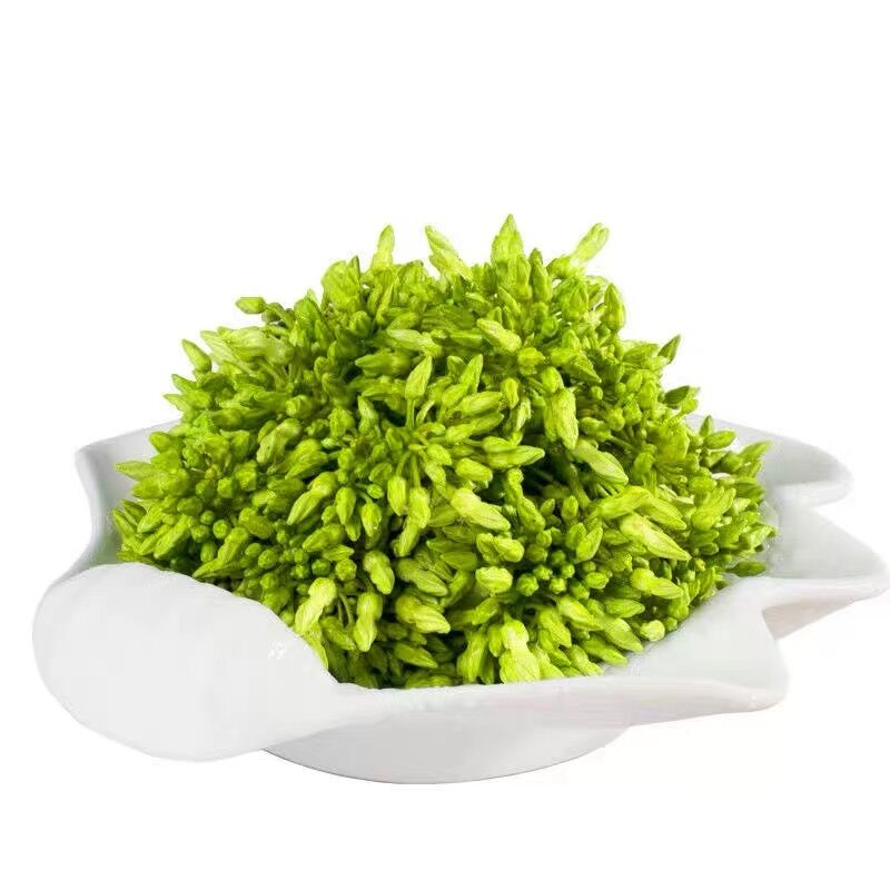 食用夜香花夜兰香苗藤本夜来香花菜千里香夜兰花驱蚊植物盆栽_虎窝淘