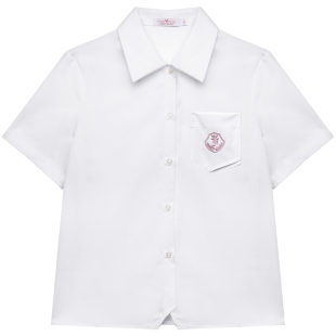 【心脏地震】小粉同学原创上衣衬衫短袖夏季奶白色日系JK刺绣