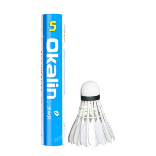 澳加林AC5号羽毛球耐打飞行稳定专业俱乐部训练比赛用球馆12只装