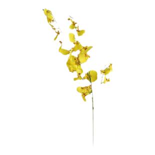 跳舞兰仿真花束高品质干绢花客厅餐桌装饰摆设电视柜黄色迎春假花