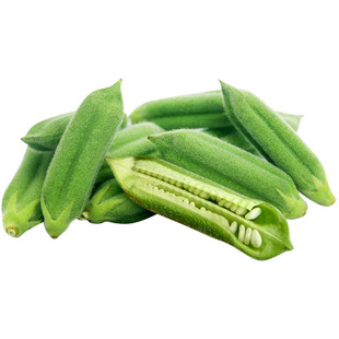 芝麻种子高产高油早熟航天一条鞭白芝麻种子春夏季种植黑芝麻种籽