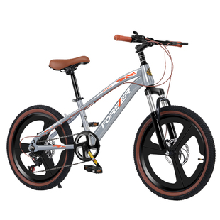 永久儿童山地自行车男孩女孩青少年四季镁合金车架中大童学生单车