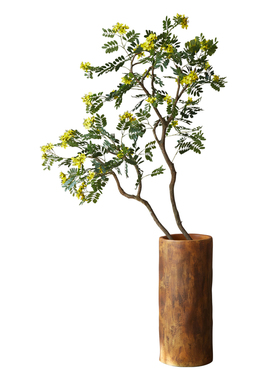 黄槐假花仿真花摆设高级感逼真室内客厅适合摆放轻奢绿植装饰摆件