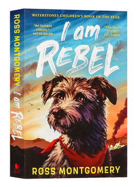 我叫勒贝尔英文原版IAmRebel