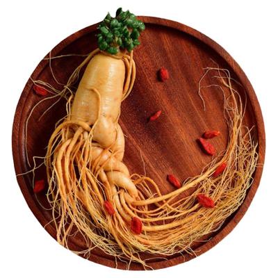 长白山东北野山参泡酒新鲜人参