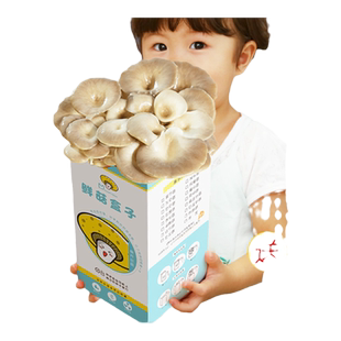 蘑菇菌包菌菇种植包平菇香菇灵芝磨菇种金针菇自种菌种家庭家种
