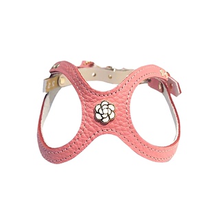 【BB胸背定制】BUDDYBELTS加拿大bb定制服务项圈牵引绳bb胸背diy