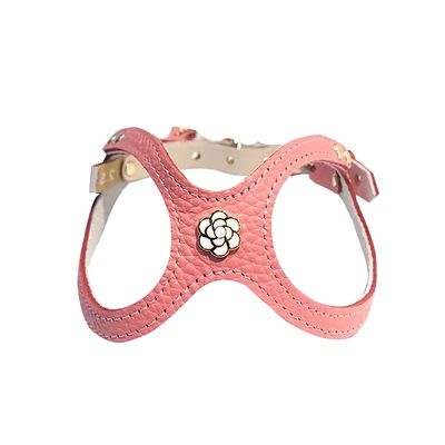 DIY加拿大bb胸背个性定制服务