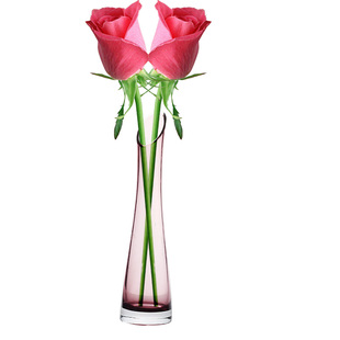 小清新玻璃透明小花瓶 桌面花插小口细长玫瑰花瓶客厅迷你摆件