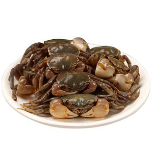 壹虎大叔醉螃蜞900g醉蟹蟛蜞咸蟹呛蟹白玉蟹小螃蟹即食下酒菜