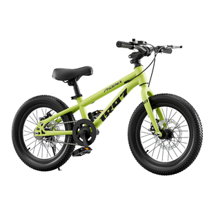 新款凤凰儿童自行车男孩女孩3-4-6-8-12岁中大童学生山地单车礼物
