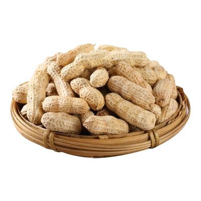 牛利海车田花生龙川亏本一件包邮