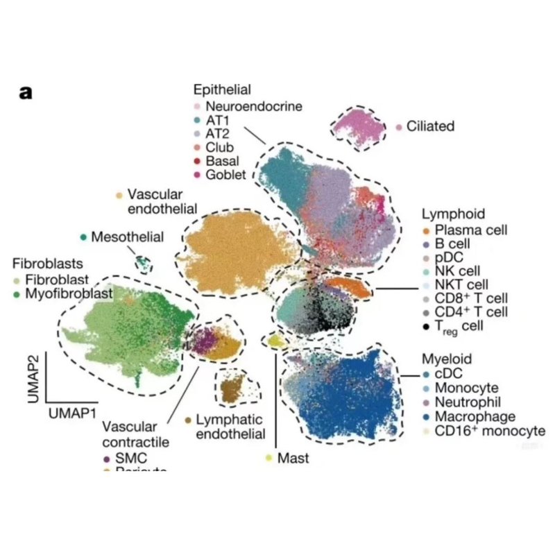 生信+实验/生信分析套餐服务TCGA/GEO单细胞测序转录组多组学联合