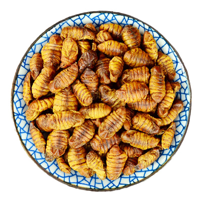 蚕蛹中药材正品桑蚕蛹粉泡水