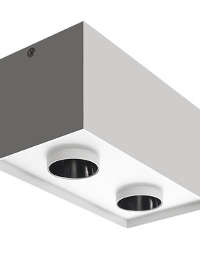 双头斗胆LED射灯明装吸顶正方
