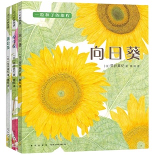 一粒种子的旅程 套装3册 向日葵 牵牛花 蒲公英 金苹果奖  植物 观察 入选亲近母语小学生分级阅读书目 正版童书 爱心树